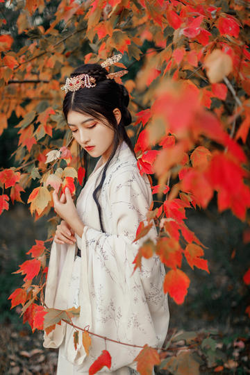 tent（tent是什么意思）